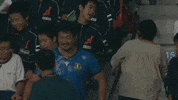 World Rugby Sport GIF by Rugby World Cup
