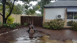 storm plumber GIF