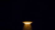 Seal Curie GIF by Einhorn's Epic Productions