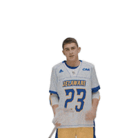 ncaa sports no Sticker by Delaware Blue Hens