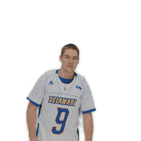 ncaa sports sport Sticker by Delaware Blue Hens