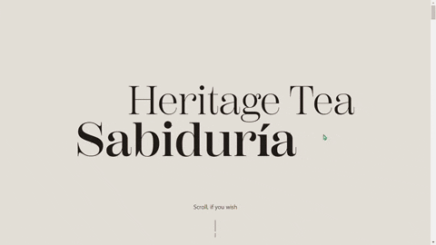 sastreriaweb giphyupload té GIF