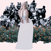 marilyn monroe octopus GIF by Percolate Galactic