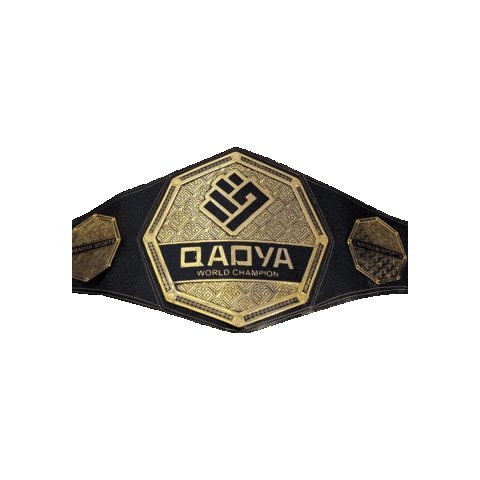 QadyaMMA giphyupload mma boxing belt Sticker