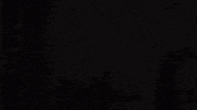 texas GIF