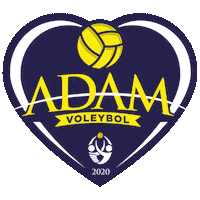Gaziantep Sticker by Adam Voleybol