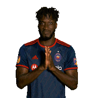 Chicago Fire Reaction Sticker by Chicago Fire Football Club