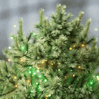 Art Christmas GIF by Pi-Slices