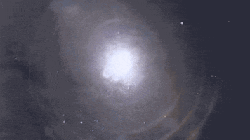 uniondocs art documentary uniondocs unbag GIF