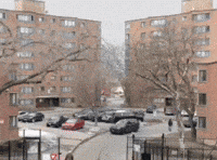 Anti Piracy King GIF