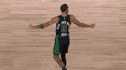 Nba Playoffs GIF by NBA