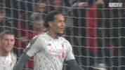 premier league football GIF by Liverpool FC
