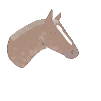 Horse Pony Sticker by winterlichtmalerei
