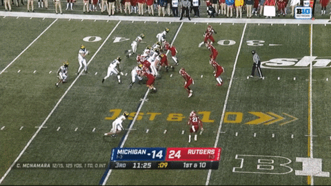 aaronmcmann giphyupload michigan football hassan haskins cade mcnamara GIF