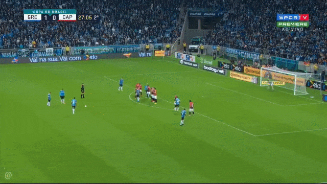 gifsdogremio giphyupload GIF