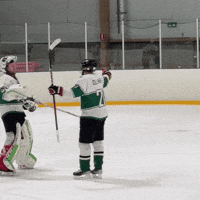 folketspuckhockeyklubb hockey hug tortugas fphk tortugas GIF