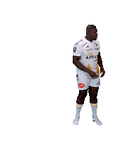 Team Rugby Sticker by Stade Rochelais