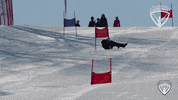allroundchampiontv oops slide arc im fine GIF