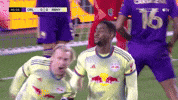 Happy Red Bulls GIF by Major League Soccer