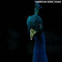 Starz Peacock GIF by American Gods