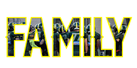 Football Nfl Sticker by IMPERIALSREUS