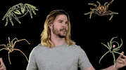 becausescience marvel spider mcu spider-man GIF