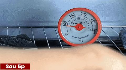 laikhanh01 giphyupload GIF