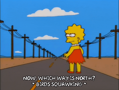 Lisa Simpson Episode 24 GIF by The Simpsons