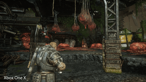 Perretico giphyupload GIF