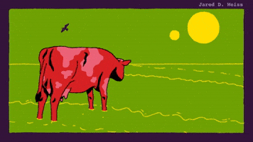 Out of Pasture - Chin Up