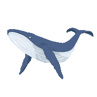 Water Whale Sticker by DisMoiDesMotu
