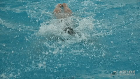 fly swimming GIF by GreenWave