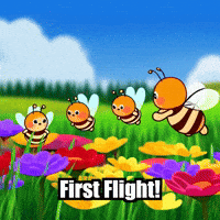 First Flight Bee GIF by Beelightened
