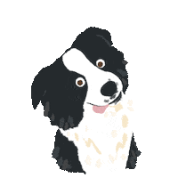 Dog Shaking Sticker