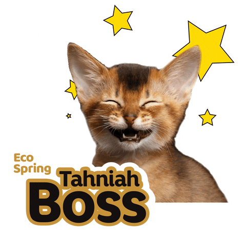 Cat Greeting GIF by Eco Spring  at Iskandar Malaysia