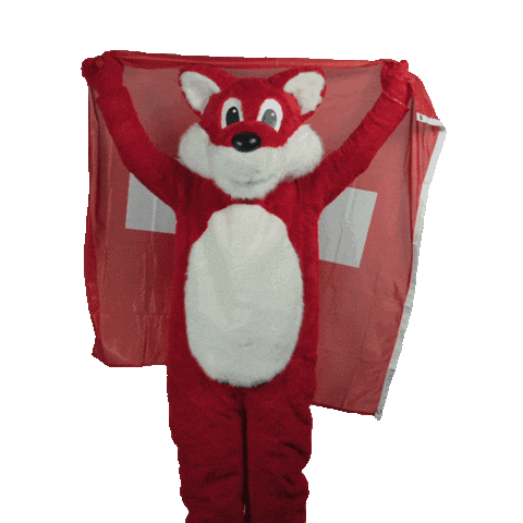 Euro 2024 Mascot Sticker by UBS Schweiz