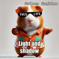 GIF by Guinea Gambino