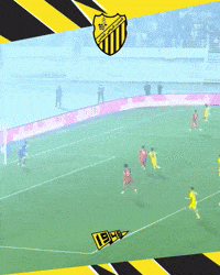 Goal Morocco GIF by Maghreb Association Sportive de Fès - MAS FOOTBALL