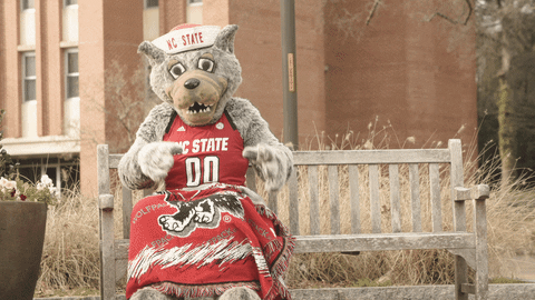 Nc State Wolfpack GIF by NC State University