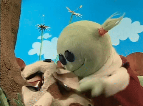 Petting