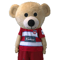 Gute Nacht Bar Sticker by 1. FC Heidenheim 1846