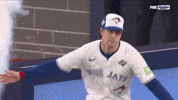 Blue Jays Sport GIF by MLB