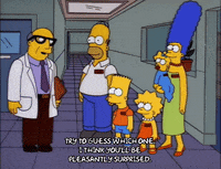 homer simpson GIF