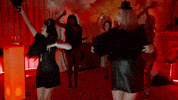 GIF by Real Housewives Of Cheshire