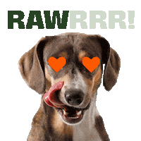 Hunger Hund Sticker by BARFERS