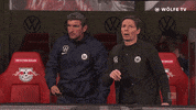 Football Sport GIF by VfL Wolfsburg