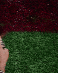 Fight On Oregon Ducks GIF