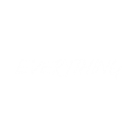 Zara Larsson Everything Sticker by Netta