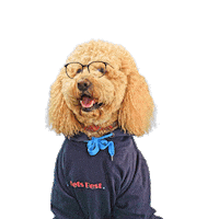 PetsBest dog puppy pet doodle Sticker