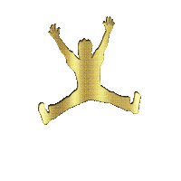 Feliz Success Sticker by Amnesia de Éxito